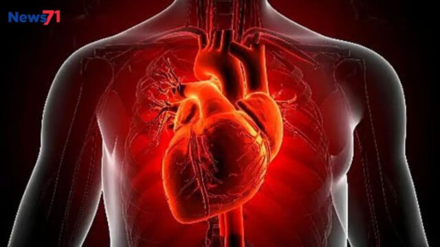 New research finds possible link between bacterial infections and heart disease