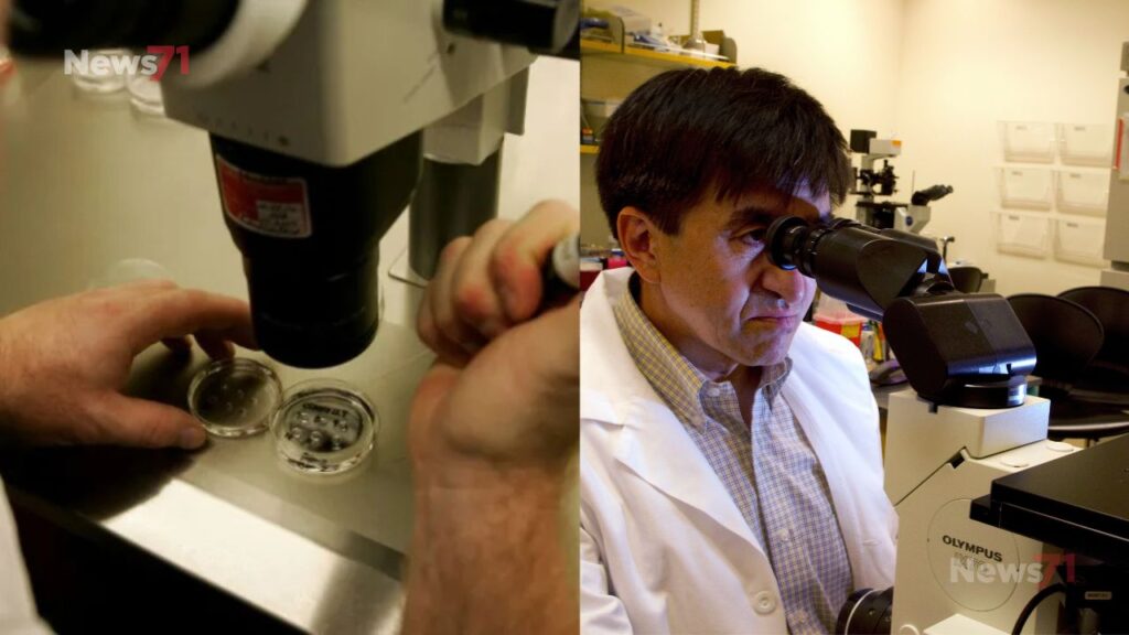 Human Eggs Generated from Skin Cells Marks Landmark Scientific Achievement