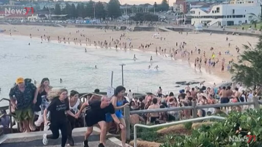 Bondi Attack Hero Ahmed Al Ahmed Praised For Stopping Shooter